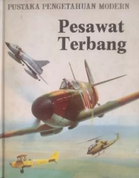 Image of Pesawat Terbang